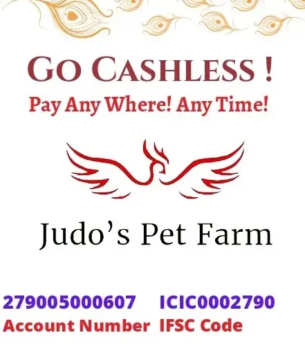 Main Banner Image 1